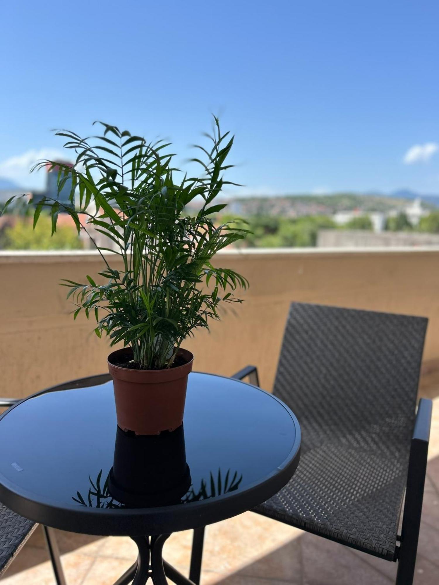 Hotel Bojatours Podgoriçe Dış mekan fotoğraf